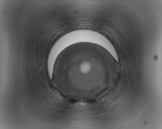 X0000098010276200804181143