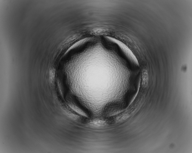 X0000098010278200804181143