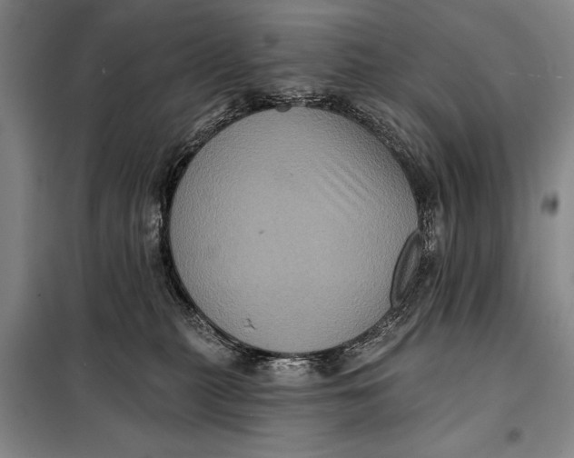 X0000098010279200804181143