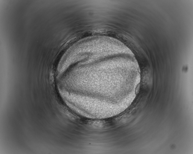 X0000098010282200804181144