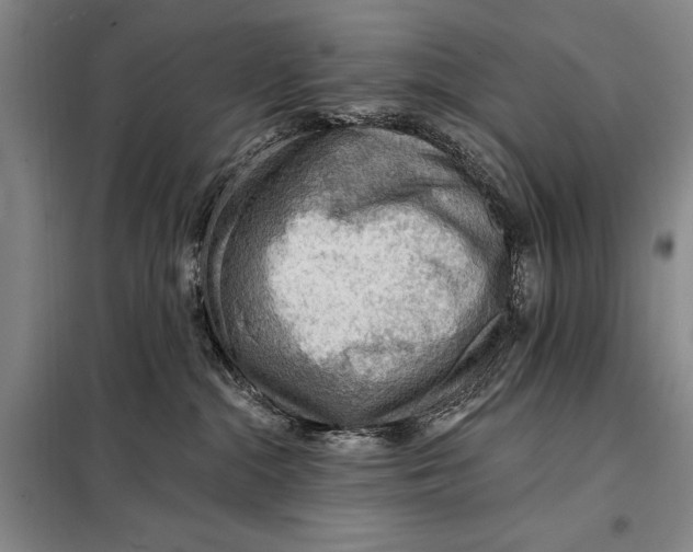 X0000098010284200804181144