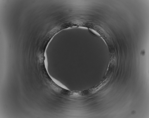 X0000098010285200804181144