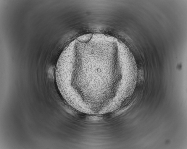 X0000098010286200804181144