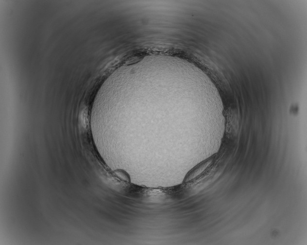 X0000098010287200804181144