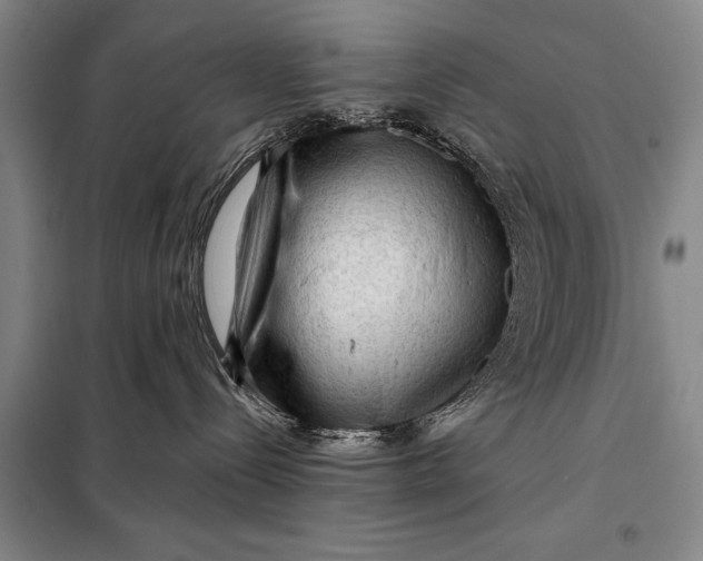 X0000098010288200804181144