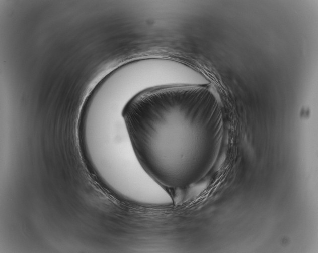 X0000098010292200804181143