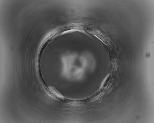 X0000098010293200804181143