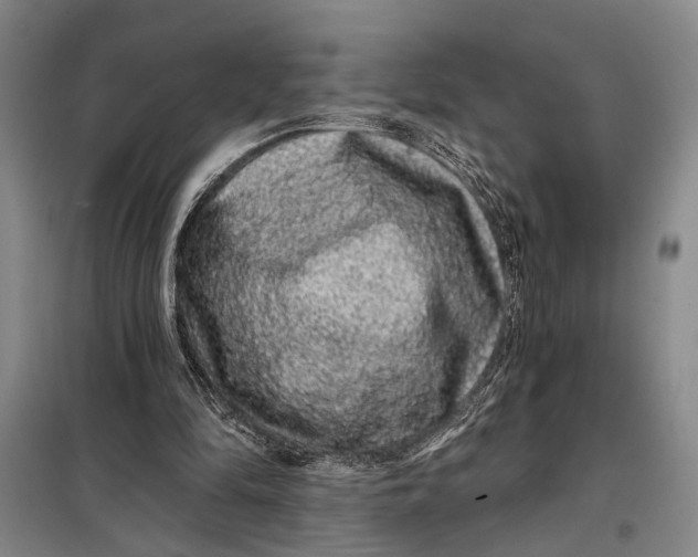 X0000098010294200804181143