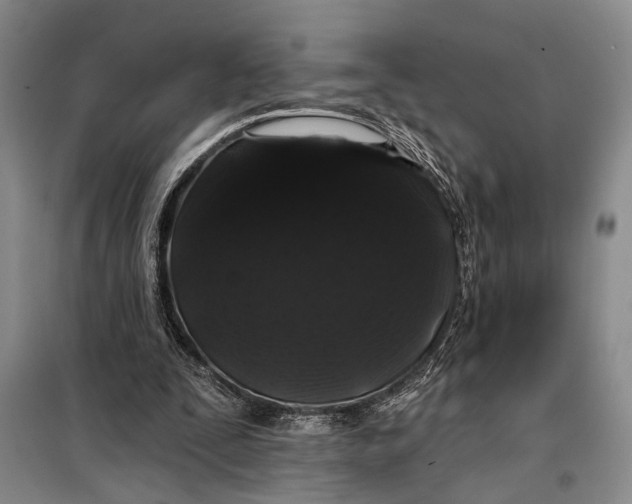 X0000098010295200804181143