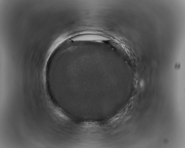 X0000098010296200804181143