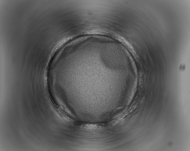 X0000098010298200804181143