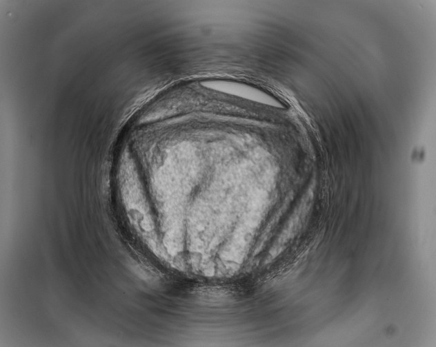 X0000098010299200804181143