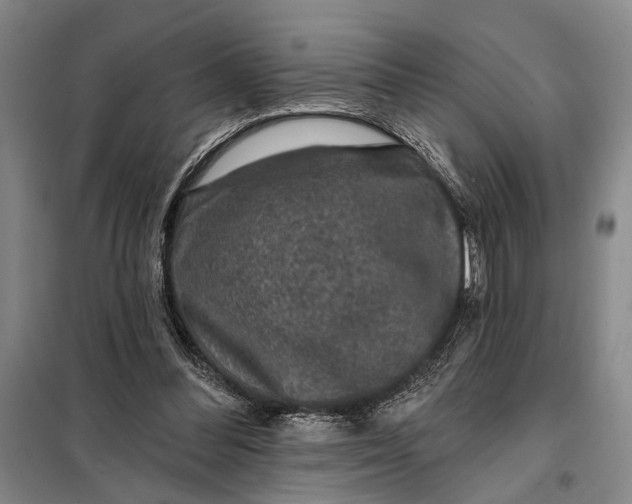 X0000098010300200804181143