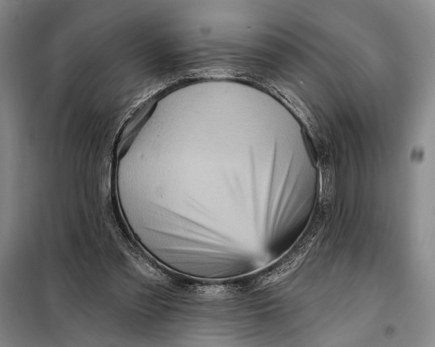 X0000098010301200804181143