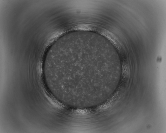 X0000098010302200804181143