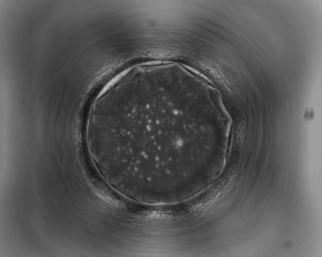 X0000098010303200804181143