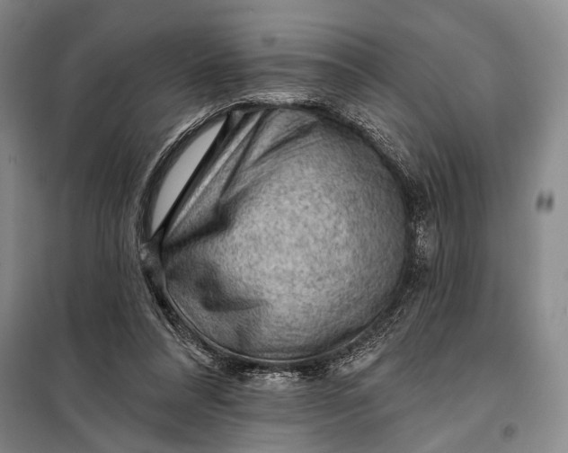 X0000098010304200804181143