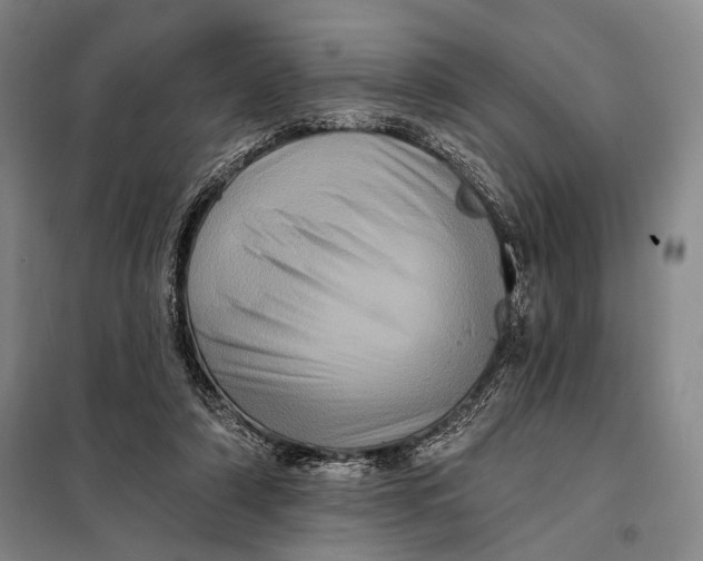 X0000098010306200804181142