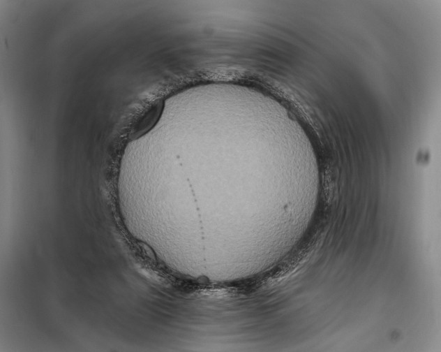 X0000098010307200804181142