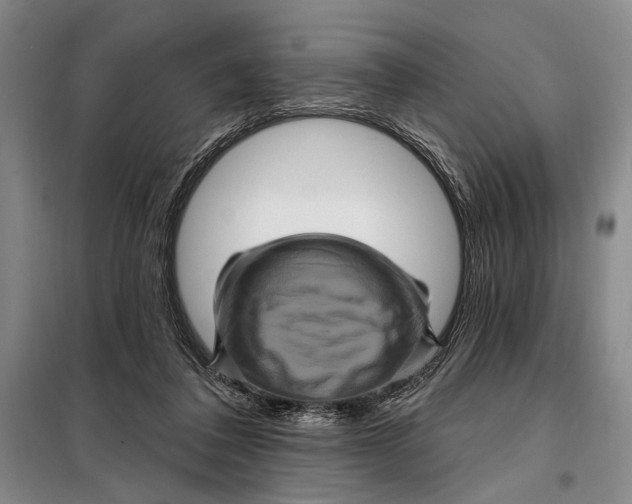 X0000098010308200804181142