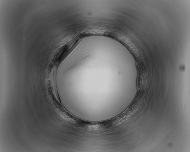 X0000098010309200804181142