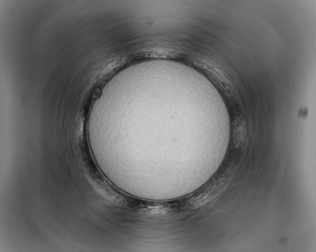 X0000098010310200804181142