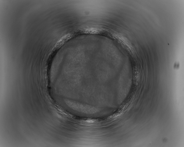 X0000098010312200804181142