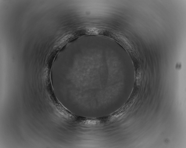 X0000098010314200804181142