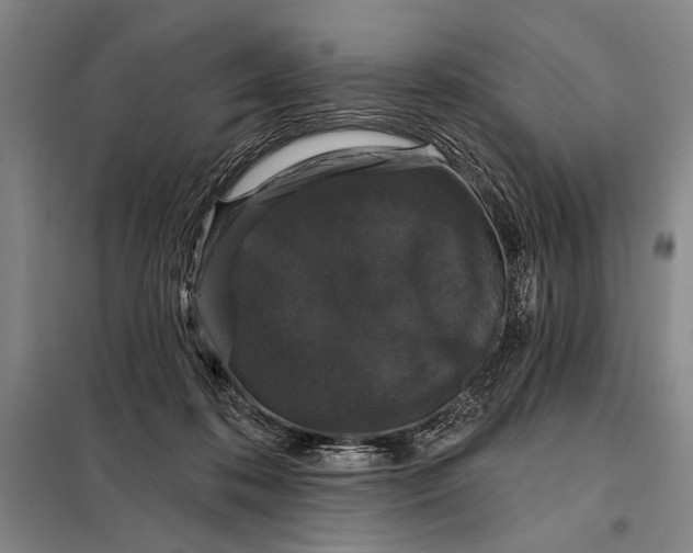 X0000098010316200804181142