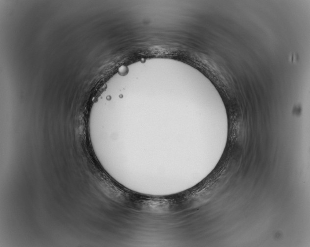 X0000098010317200804181142