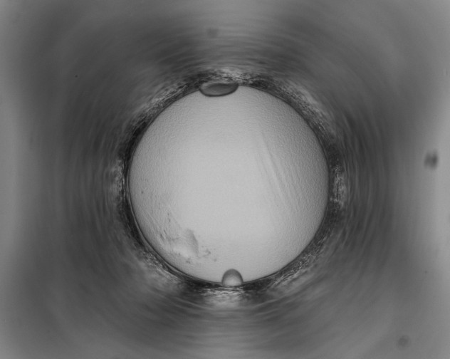 X0000098010318200804181142