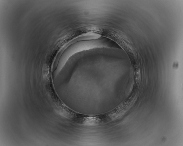 X0000098010320200804181142