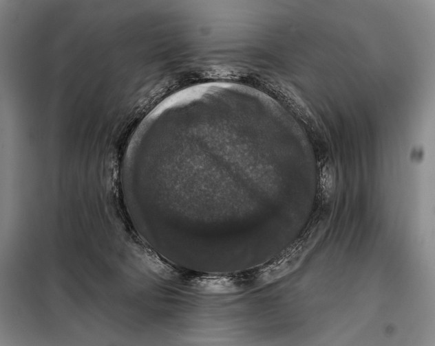 X0000098010322200804181142