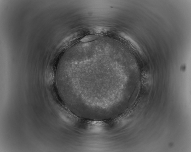 X0000098010324200804181142