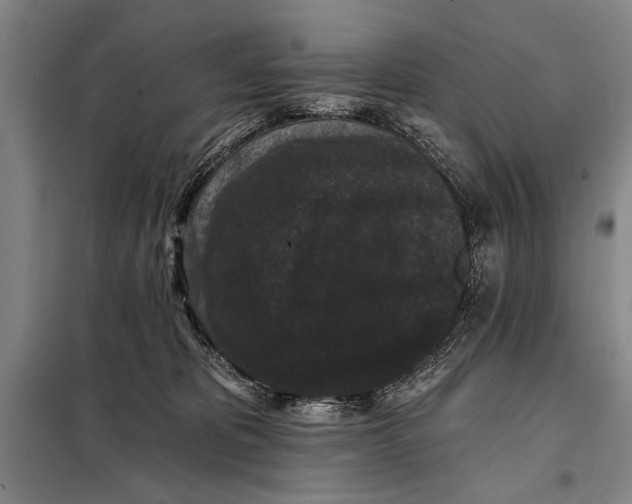 X0000098010325200804181142