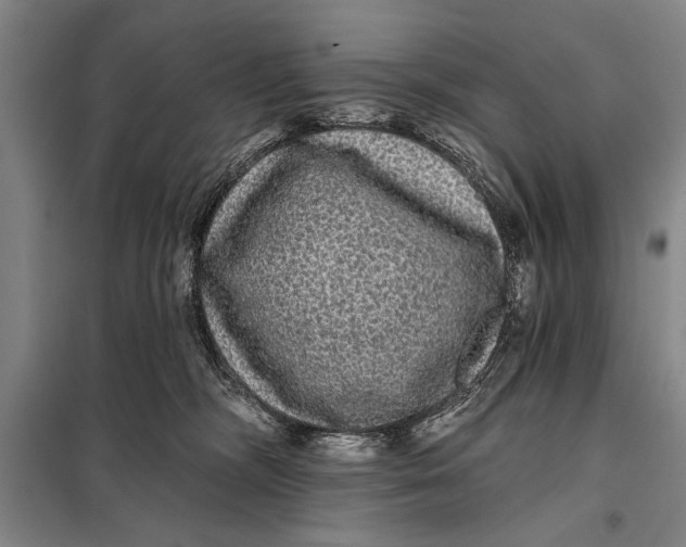 X0000098010326200804181142