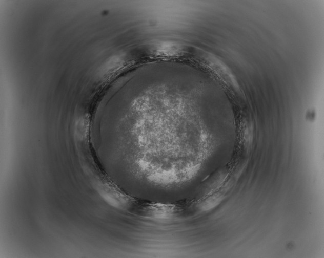 X0000098010328200804181142