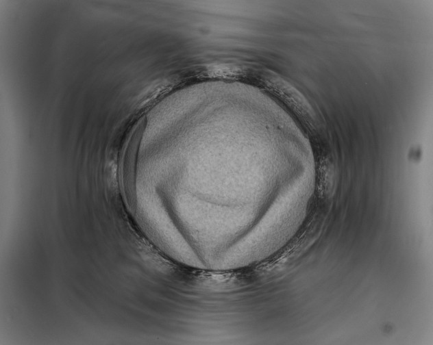 X0000098010329200804181142