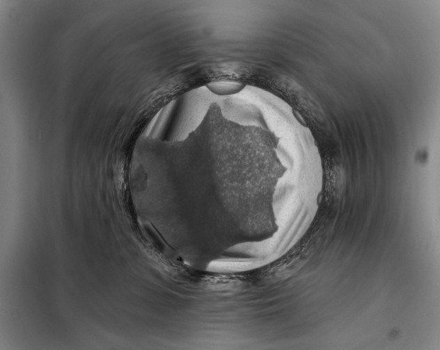 X0000098010331200804181142