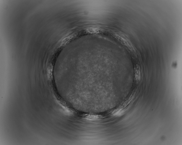 X0000098010332200804181142