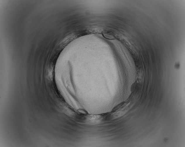 X0000098010334200804181142