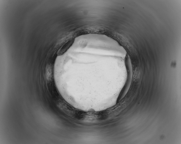 X0000098010335200804181142