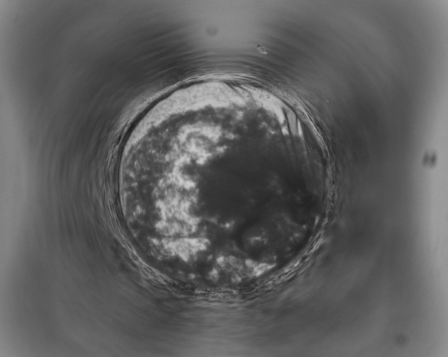 X0000098010337200804181141