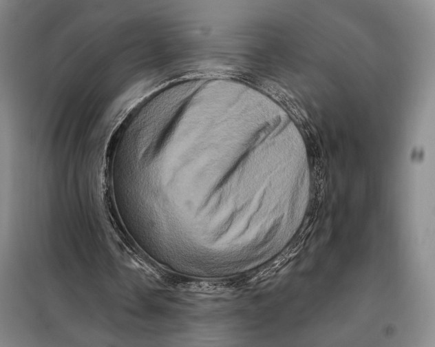 X0000098010338200804181141