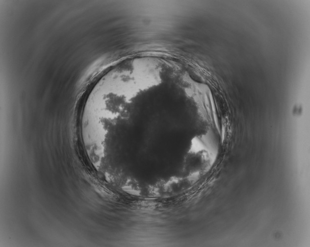 X0000098010339200804181141