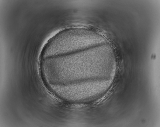 X0000098010342200804181141