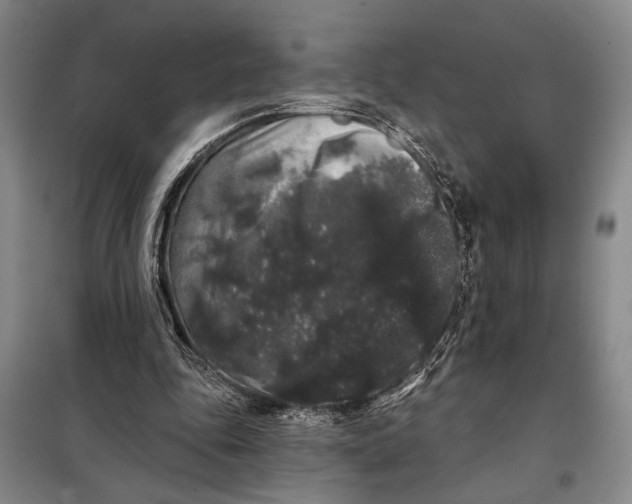 X0000098010343200804181141