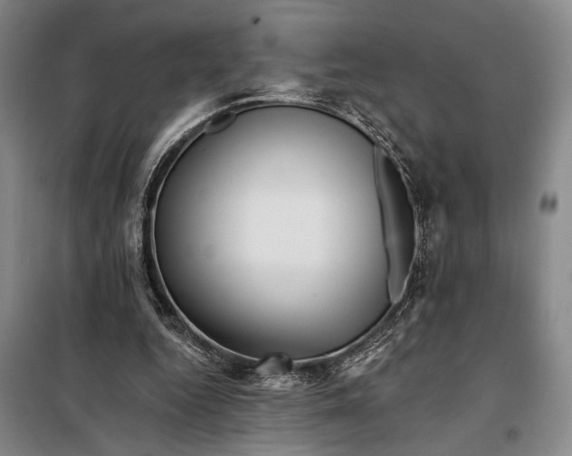 X0000098010344200804181141