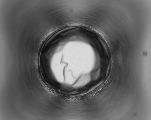 X0000098010345200804181141