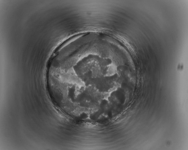 X0000098010346200804181141